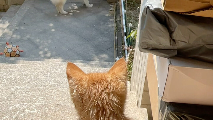 Many comments said they're craving Coke—today all three little ones are finally together!
