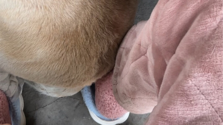 جلست بثبات تام!