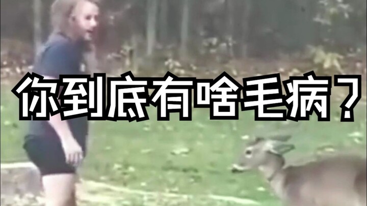 Had a fierce encounter with a deer in the backyard