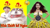 Thú Cưng TV | Ngáo Husky Troll Bố Dương KC #32 | chó thông minh vui nhộn | funny cute smart dog Pets