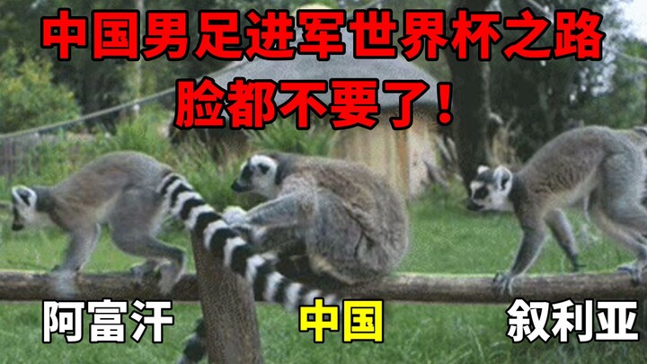 [Extremely Realistic] Discussing Chinese football’s standing in Asia—have they lost all sense of sha