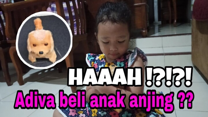 AKHIRNYA !! adiva dibeliin Puppy juga, warna cokelat Lucu banget | Dunia Adiva