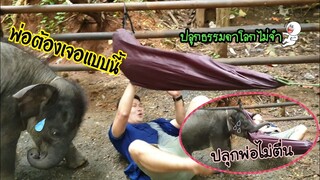ปลุกพ่อธรรมดาโลกไม่จำต้องเจอแบบนี้