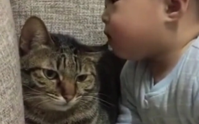 Cat ears aren’t something you can just eat whenever you want, babe.