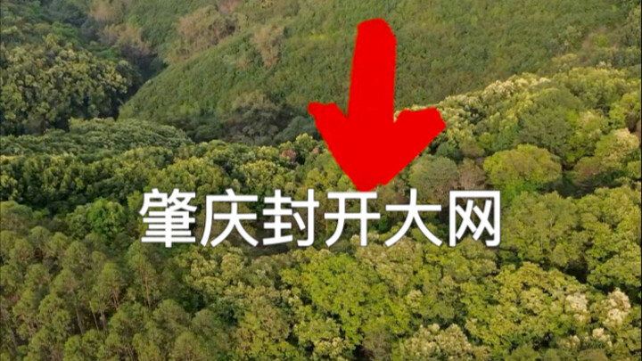 นกไม่อาจบินกลับได้อีกแล้ว ช่องเขาสูงถูกปิดกั้นด้วยตาข่ายขนาดใหญ่ #จ้าวชิ่ง#การอนุรักษ์นก