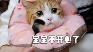 [หัวฮวากับแมวสามตัว] ขนมผสมยาหลอกหมูให้กิน แกคิดว่าฉันเป็นแมวเหรอ กินอะไรก็ได้