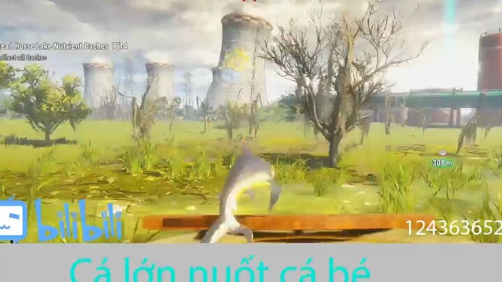 Bùng nổ với con cá mập săn mồi #game