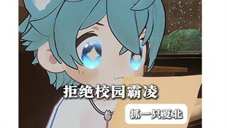 【抓一只夏北】不要害怕，你并不孤独！面对校园霸凌勇敢的说出来