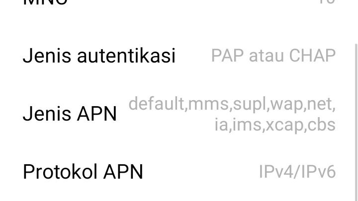 BIznet update lancar 56mbps