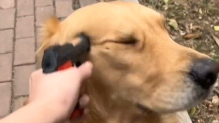 Doggy: I’ve never been this dumbfounded in my life...