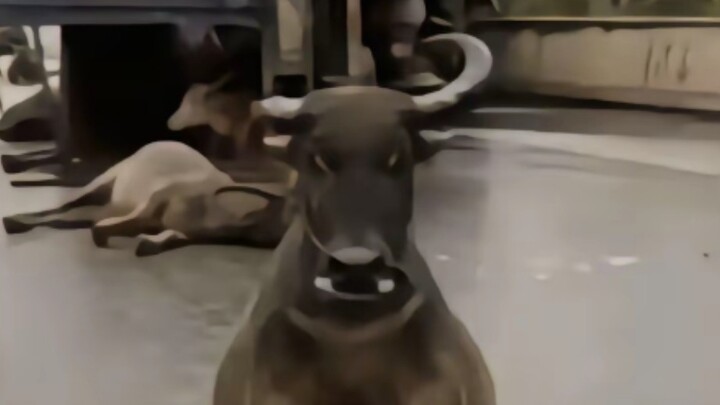 โยนแบบนี้เลยเหรอ?