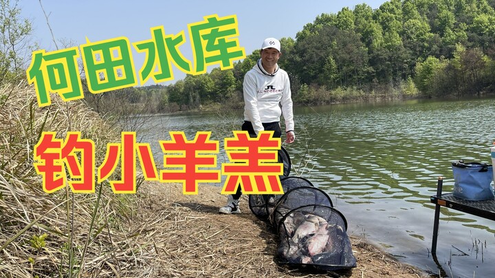 Boss Pan at Hettian Reservoir in Hong’an—now that’s what you call fellow villagers meeting, tears we