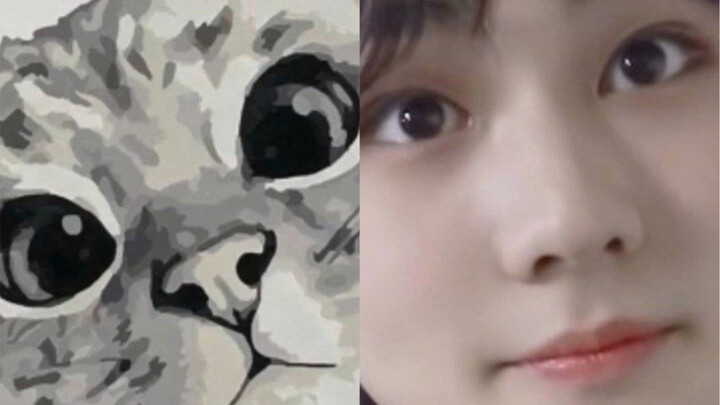 Mata yang bulat sempurna dalam pandangan Huazi adalah bayi kucing!!!