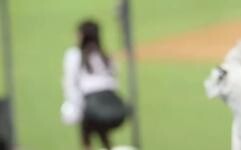 هاشيموتو أونا توزع الخضروات في تايوان