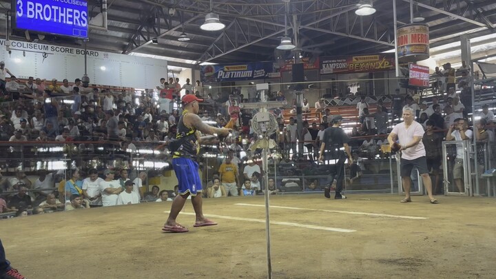 1st fight win  2hits🏆🏆 Pilar coliseum 7-18-26