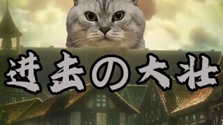 ⚡进击の大壮⚡