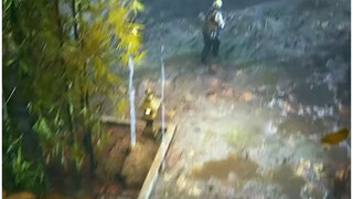 Fajar Baru Game Domestik#Memori Cerah