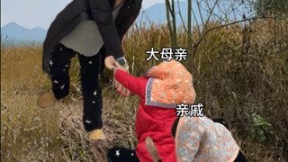 《大年初一必看项目》