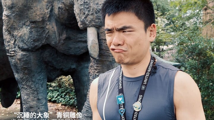 【整活】在联合国寻找五环
