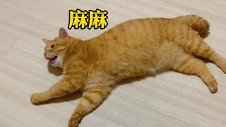 Ibu tidak bisa tidur di lantai tanpa sweater, jadi lebih baik ikutin keinginanku saja deh.