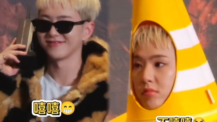 โฮชิ “ฮิฮิ” กับ “ไม่ฮิฮิ” ต่างกันแค่เสือหนึ่งตัว