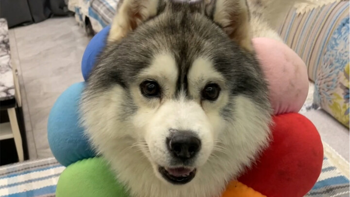 Terus Moncer Sepanjang Tahun 2022