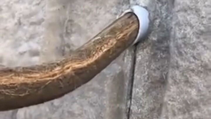 “ทำให้ฉันฟินไปเลย”