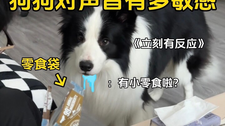 How sensitive are dogs to sounds?