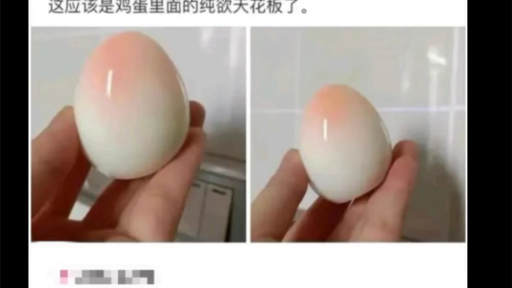 Internet Stupid Pictures