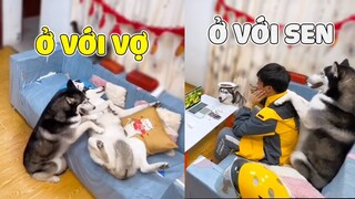 Đâu ai bình thường KHI YÊU ? - NGÁO cũng hông NGOẠI LỆ ~ 😂 | Gâu Đần Official