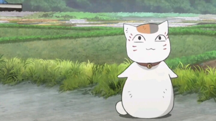 [Natsume Yuujinchou Roku] Siapa yang tidak suka anak kucing gemuk~