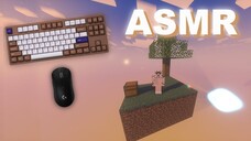 video_part_ASMR Roblox_part_0030