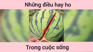 Những điều thú vị trong cuộc sống