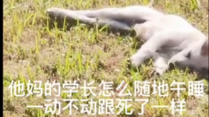 นักศึกษามหาวิทยาลัยด่าทุกอย่างอย่างเท่าเทียม