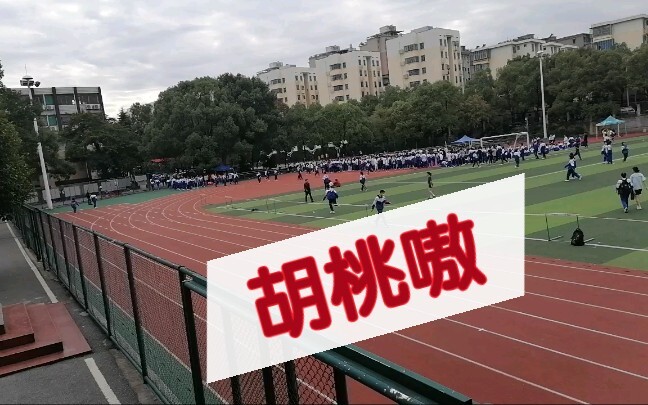 胡桃up期间在学校运动会放《胡桃嗷》会怎样？？？！
