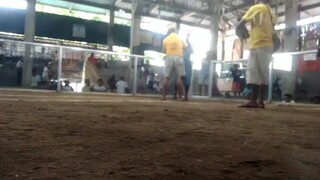 win gold