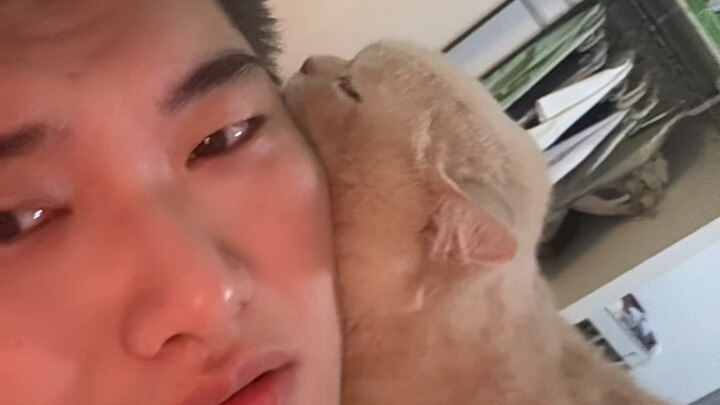 ฉันเกลียดแมวมากจริงๆ