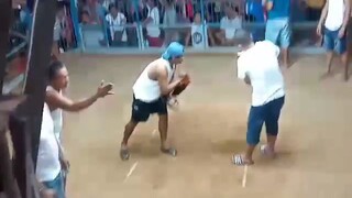 3rd fight  win