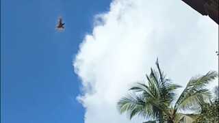 KEJADIAN ANEH DI atas AWAN