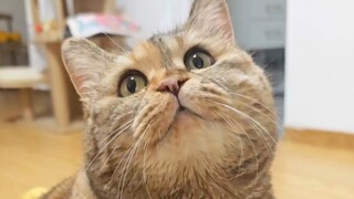 คุณทานอะไรคนเดียว?