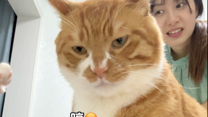 沉浸式打架vlog来咯！