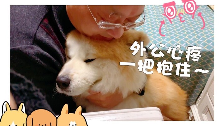 【يوميات يو تشان】ما إن تبدأ الأمطار والرعد حتى أرتعد من الخوف، وألتصق بكم طالبًا العزاء والعناق!