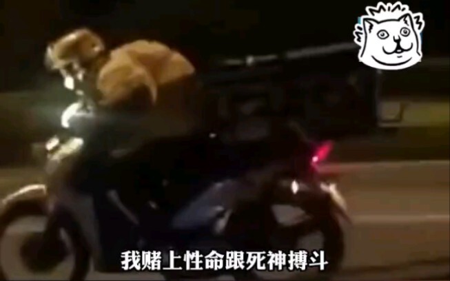 Guangxi: Customer Bitten by a Snake Requests Rush Delivery of Medication; Rider Races Through Traffi