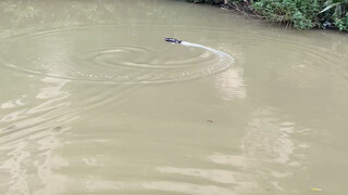 不瞒你说，自从有了这个快艇，现在出门都是最靓的仔！