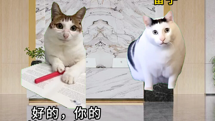 There are so many genders overseas… Shocking!