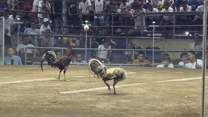 2nd fight WIN Sobra laki kalaban. wembanyama 🏀 vs kyrie irving🤣. Pilar coliseum 3hits 5/9/24