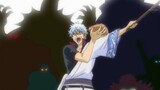 Five Shichibukai gathered in this small street! (But they are all Gintoki