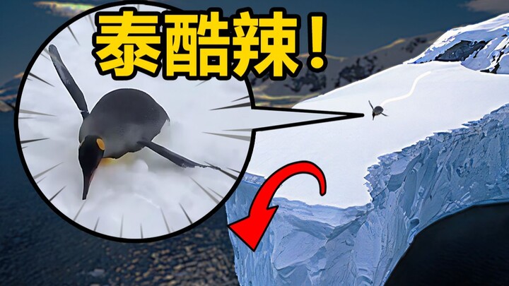 Malam yang Panjang! (Episode 7)