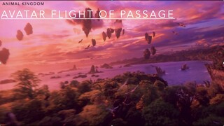 Avator Flight of Passage Ride