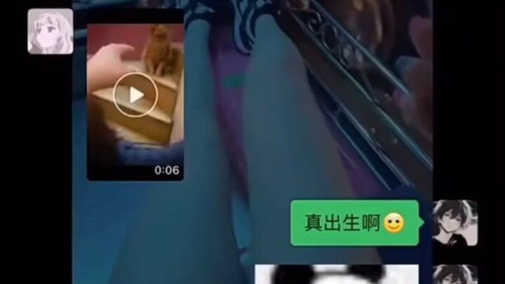 Mèo: Bạo lực ngôn từ thực sự khiến tôi rất tự ti